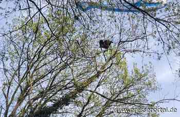 FW Hennef: Sirenenalarm - Gleitschirmflieger abgestürzt