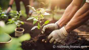 Should you wait to plant after Mother's Day?