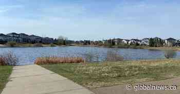 Suspect arrested after series of assaults targeting women in northwest Edmonton