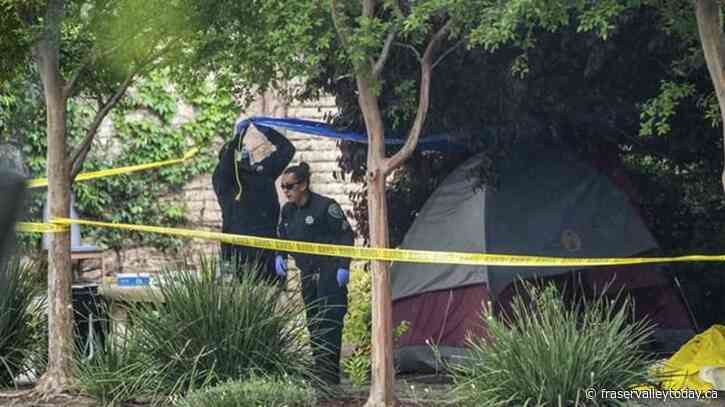 Police: Former student arrested for 3 stabbings in Davis