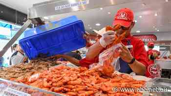 Australia-UK free trade agreement to take effect within weeks, relaxing visa rules and scrapping tariffs