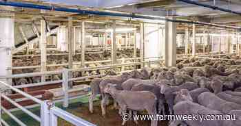 Virtual forums for live export answers'