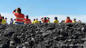 Queensland coal projects cancelled over failure to detail environmental impact