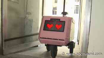 Miami's Tiny Pink Robots Set to Expand Its Delivery Services. Here's What to Expect