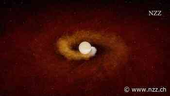 Ein Stern verleibt sich einen Planeten ein und errötet ein wenig