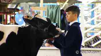 Merced County Spring Fair underway in Los Banos