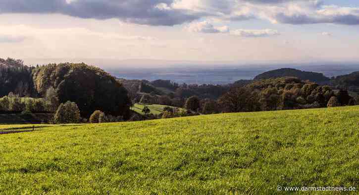 Der neue Brensbacher Weitsichtweg eröffnet spektakuläre Fernblicke nach Frankfurt und in den Odenwald