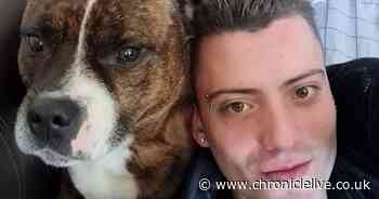 Dog owner leaves Gateshead after beloved pet was stabbed and died and no-one has been prosecuted a year on