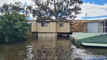 Adam was surprised when his insurance was cancelled, but advisors say more cases will come