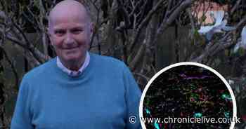 Northumberland granddad 'wouldn't be here' if not for pioneering liver cancer treatment