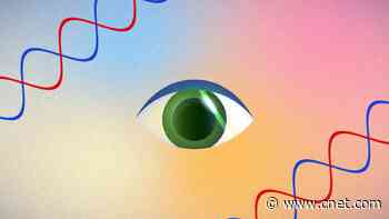 The Bionic Eye That Could Restore Vision (and Put Humans in the Matrix)     - CNET