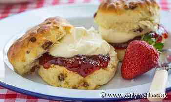 Does 'scone' rhyme with 'gone' or 'cone'? MailOnline asks ChatGPT how to pronounce it