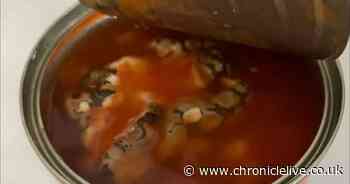 Aldi shopper 'freaked out' after finding 'dead snake' in tin of baked beans