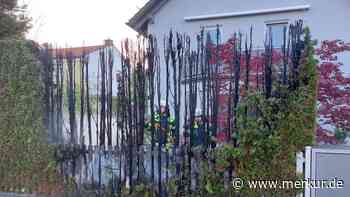 Beim Unkrautvernichten geht Teil einer Hecke in Flammen auf