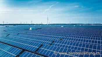 Langer Weg bis zur Förderung