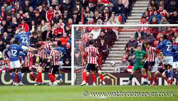 Watford boss Wilder highlights the main shortcomings