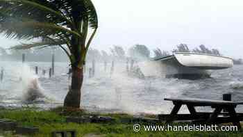 Hauptversammlung : Munich-Re-Chef Wenning kritisiert Klimapolitik: „Gute Absichtserklärungen gibt es viele“