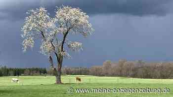 Wetter in Hessen: Gewitter und Starkregen am Wochenende