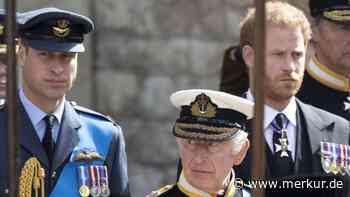 Krönung Charles III.: Privatjet landet bei Windsor Castle – Prinz Harry an Bord?