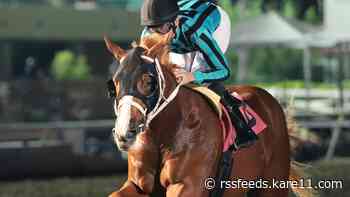 'That is a really special horse' | From Canterbury Park to Churchill Downs, Two Phil's eyes Kentucky Derby crown