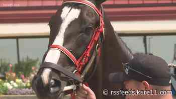 Sports betting bill would send cash to horse tracks
