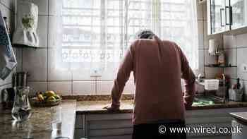 The Long Covid Mystery Has a New Suspect