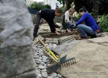 Vous souhaitez faire de la permaculture sur votre balcon? Voici les règles à suivre