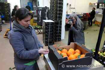 "Cela valorise les personnes en situation de handicap": découvrez le projet artistique initié à l’Esat de Menton avec la photographe "Maf"