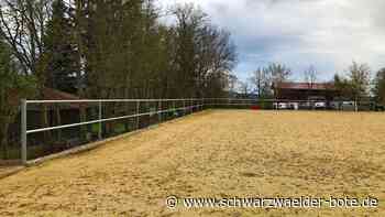 Wildberger Waldhoffest: Pferd und Hund geben ihr Bestes