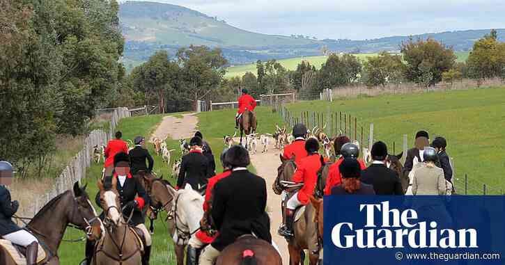 The hunt: the little-known war being waged over horse and hound foxhunting in Australia