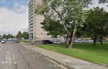 Woman hospitalised after brutal Enfield dog attack