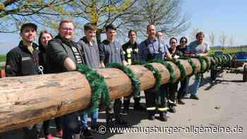 Diebe haben es auf den Pferseer Maibaum abgesehen