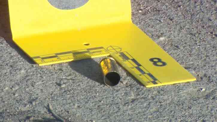 'You don't think it's going to happen': Northeast Calgary shooting under investigation