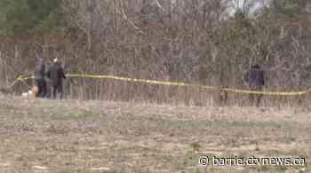 OPP identify human remains found in Springwater, deemed non-suspicious