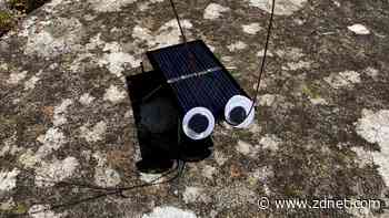 This $25 'solar cockroach' DIY kit is fun for the whole family