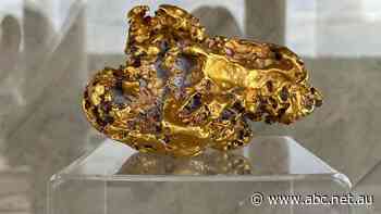 Stories and treasurers from Australia's gold rush era now open to the public