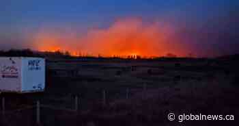 Eco-anxiety and its impacts on younger generations