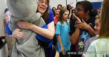 'It's the MVP of education': Big Hollow teacher wins Golden Apple award