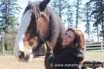 VIDEO: Victoria’s oldest tourism business trots into 120th year