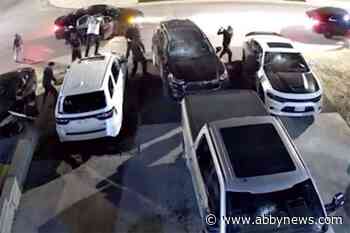 Abbotsford couple speaks out after large group smashes vehicles on their property