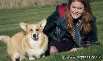 Duchess of York shows no hard feelings over Abbey snub as she celebrates with corgi photos