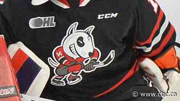 Niagara IceDogs GM says he'll appeal 2-year suspension for violating Ontario Hockey League policies