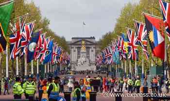 Top four security hazards at Coronation as crowds start to gather in London - expert