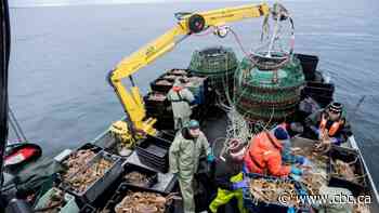 Tentative deal reached that could see snow crab harvesters back on the water