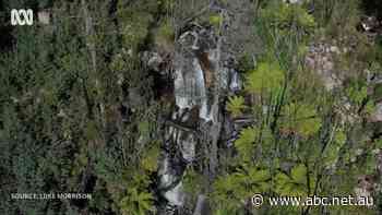 From ashes to Instagram: How this fire-ravaged region is bringing in the tourists