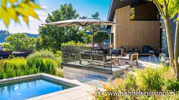 Vier Gartenbauer geben Tipps für die Terrasse