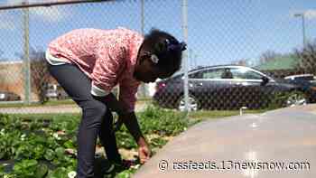 How 'micro-farming' is growing big opportunities for a better lifestyle in Hampton Roads