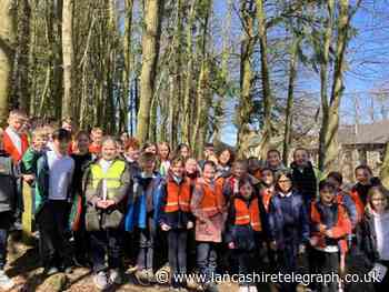New footpath built in Grant's Wood, Ramsbottom