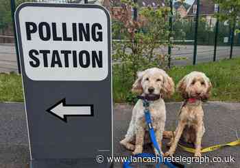 Council Elections are not 'a waste of time and money' and here's why