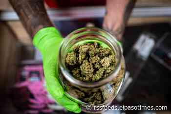 Marijuana business is booming at the border, but comes with risks